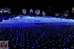 DSC02299