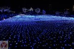 DSC02306