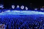 DSC02313