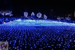 DSC02314