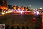 DSC02316