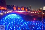 DSC02317