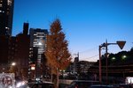 DSC02203