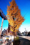 DSC02204