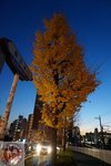 DSC02205