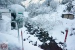 DSC03963