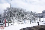 DSC03976