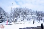 DSC03979