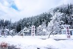 DSC03980