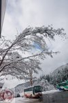DSC03985