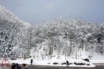 DSC04014