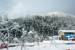 DSC04019