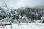 DSC04022