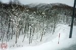 DSC04033