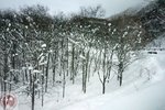 DSC04034