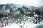DSC04046