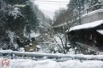 DSC04051