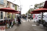 DSC02661
