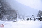 DSC03295