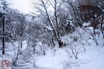 DSC03310