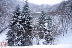 DSC03311