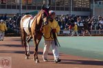 DSC04573