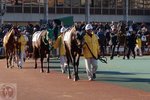 DSC04587