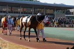 DSC04591