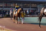 DSC04595