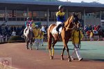 DSC04596