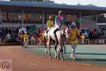 DSC04597