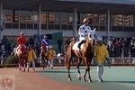 DSC04598