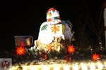 DSC02424