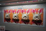 DSC04745