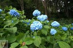 DSC00113