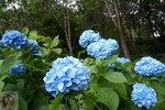 DSC00114