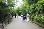 DSC00115