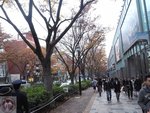 PB280103 (Copy)
