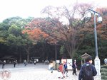 PB280114 (Copy)