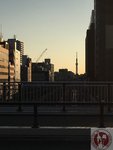 IMG_4117