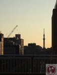 IMG_4118