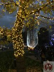 IMG_3742