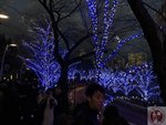 IMG_3745