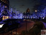 IMG_3762
