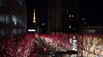 DSC00455