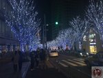 IMG_4878