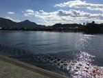IMG_4289