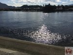 IMG_4291