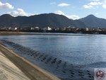 IMG_4293