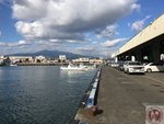 IMG_4451